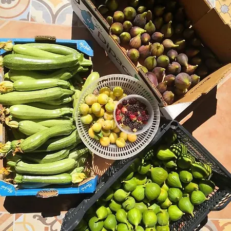 Rural Home, Finca Ecocielo * 维加-德圣马特奥